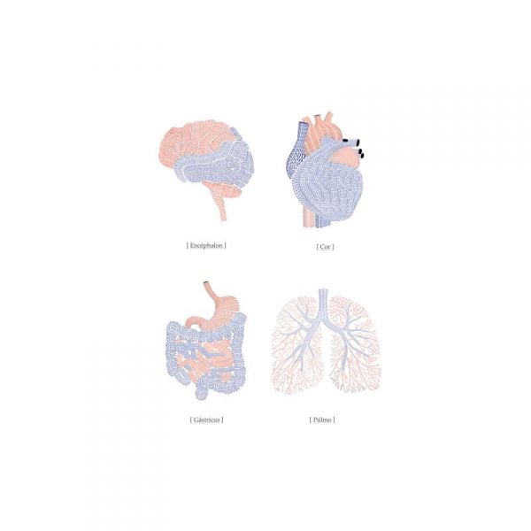 Fototapeta Organs – Anatomy of the soul