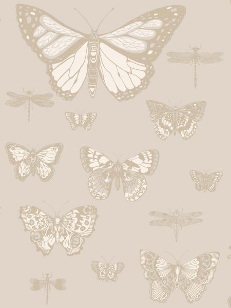 Tapeta Butterflies & Dragonflies 103/15064 – Cole&Son