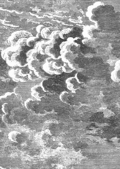 Tapeta Nuvolette 114/28054 (zestaw 2 rolek) - Cole&Son Tapeta Nuvolette 114/28054 (zestaw 2 rolek) - Cole&Son