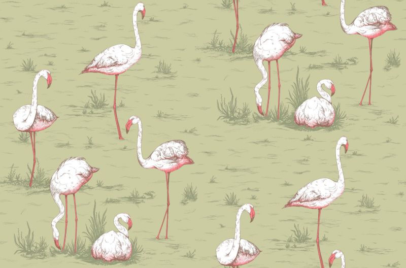 Tapeta Flamingos 112/11038 – Cole&Son