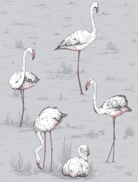 Tapeta Flamingos 112/11040 – Cole&Son