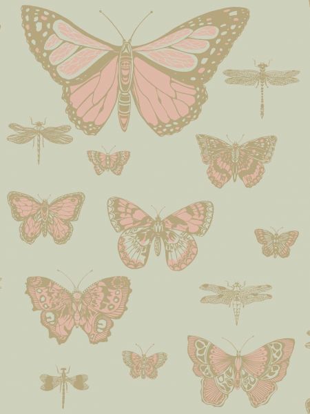 Tapeta Butterflies & Dragonflies 103/15063 – Cole&Son