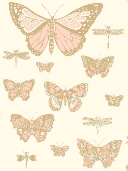 Tapeta Butterflies & Dragonflies 103/15066 – Cole&Son