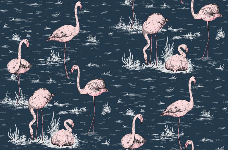 Tapeta Flamingos 112/11041 – Cole&Son