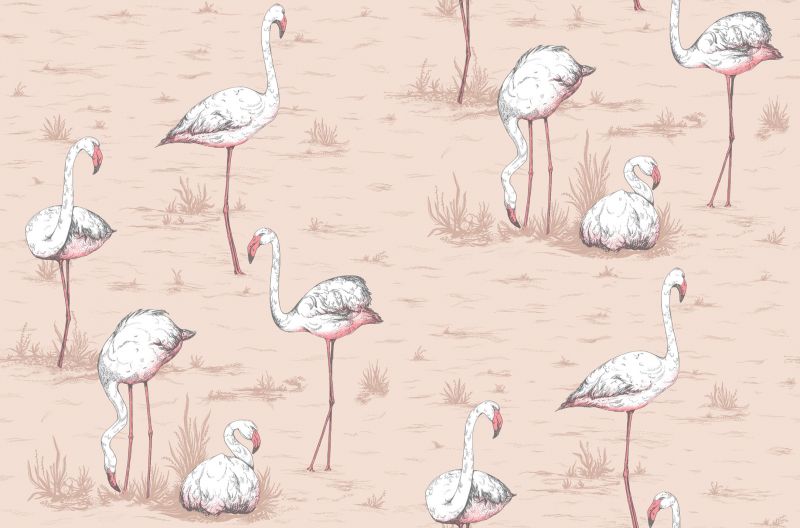 Tapeta Flamingos 112/11039 – Cole&Son
