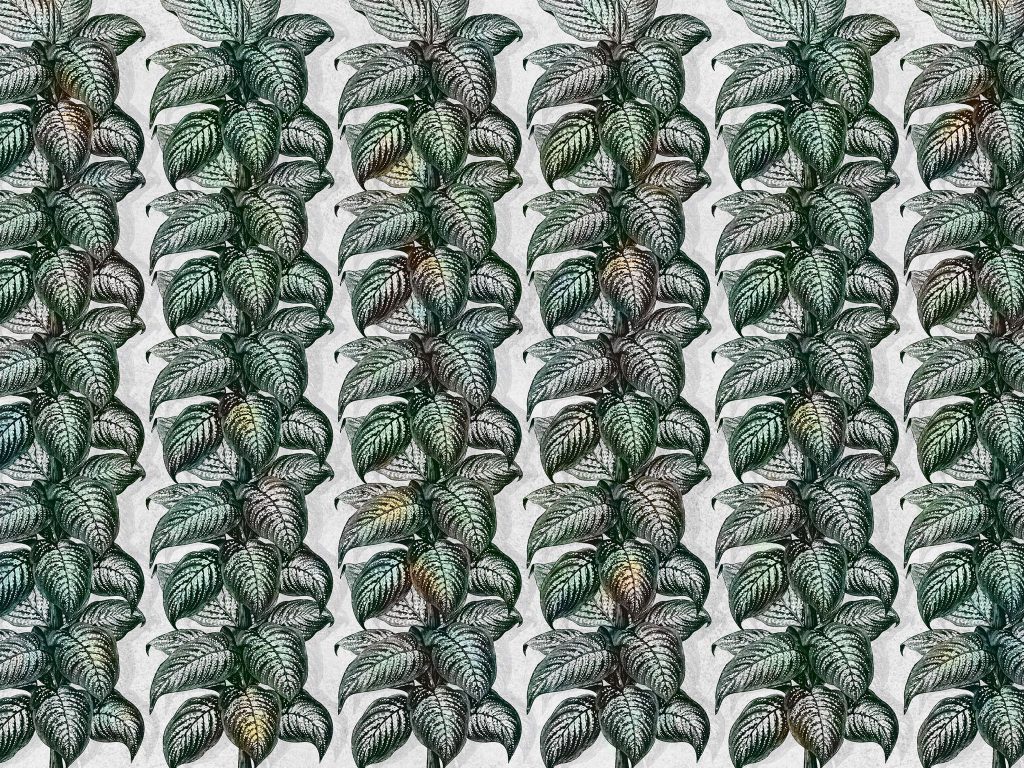 Tapeta Magnifica Light