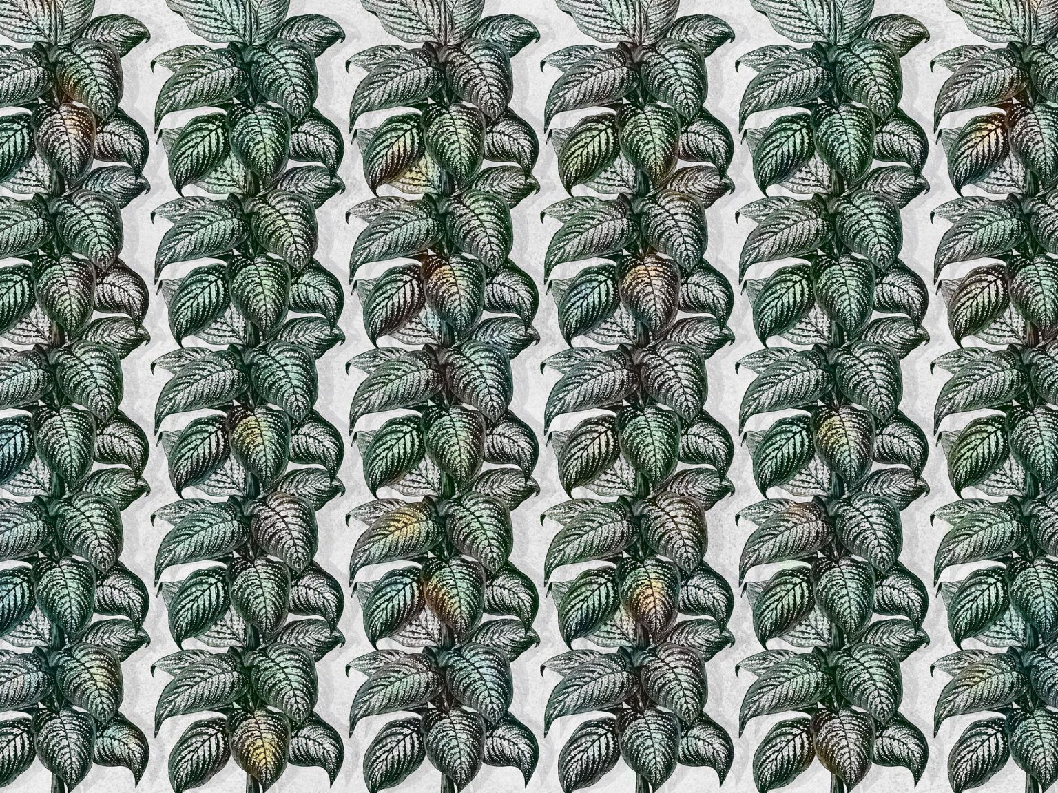 Tapeta Magnifica Light