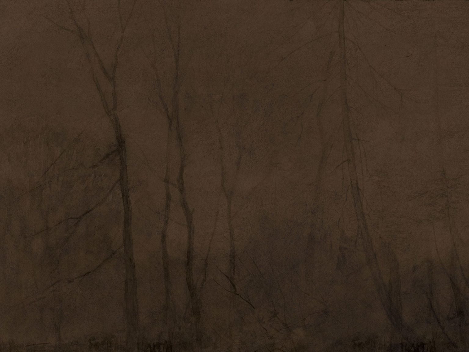 Tapeta Foggy Evening