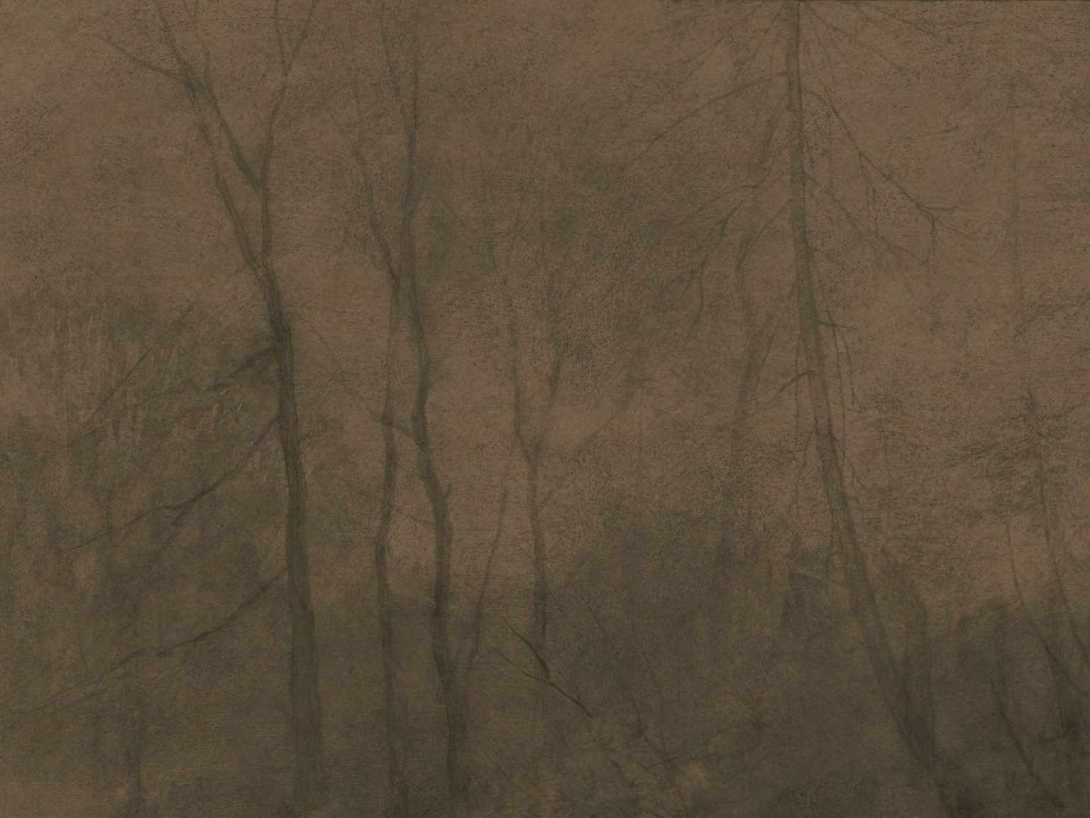 Tapeta Foggy Morning