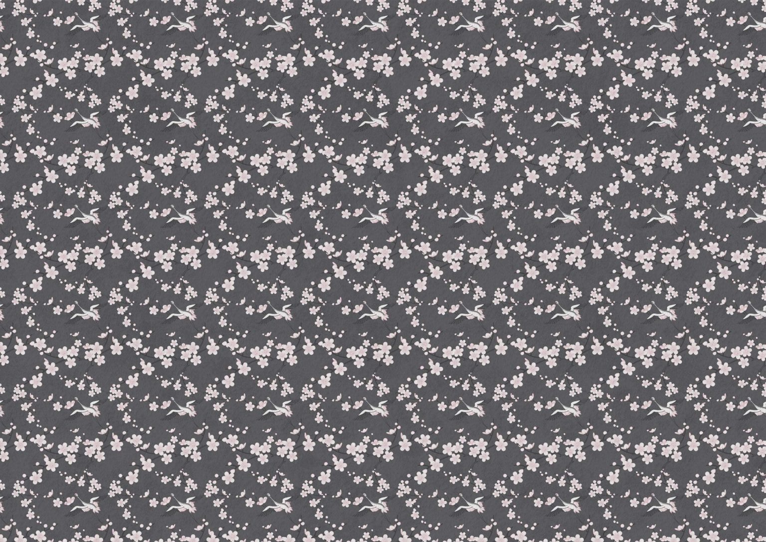Tapeta Sakura dark