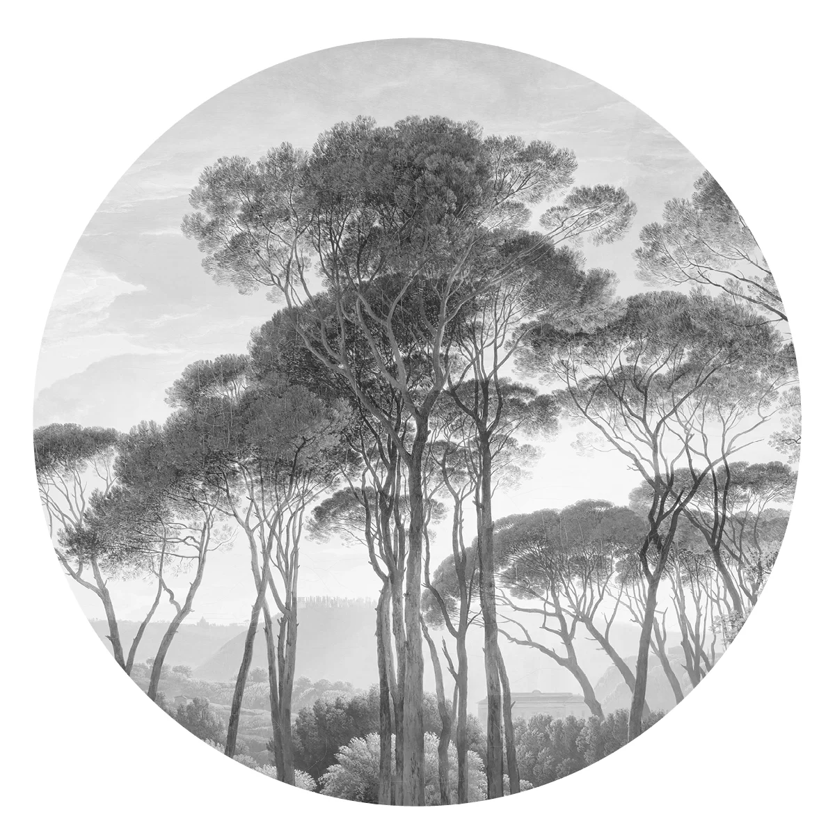 Tapeta Dots Bezbarwny Świat Tapeta Dots Bezbarwny Świat