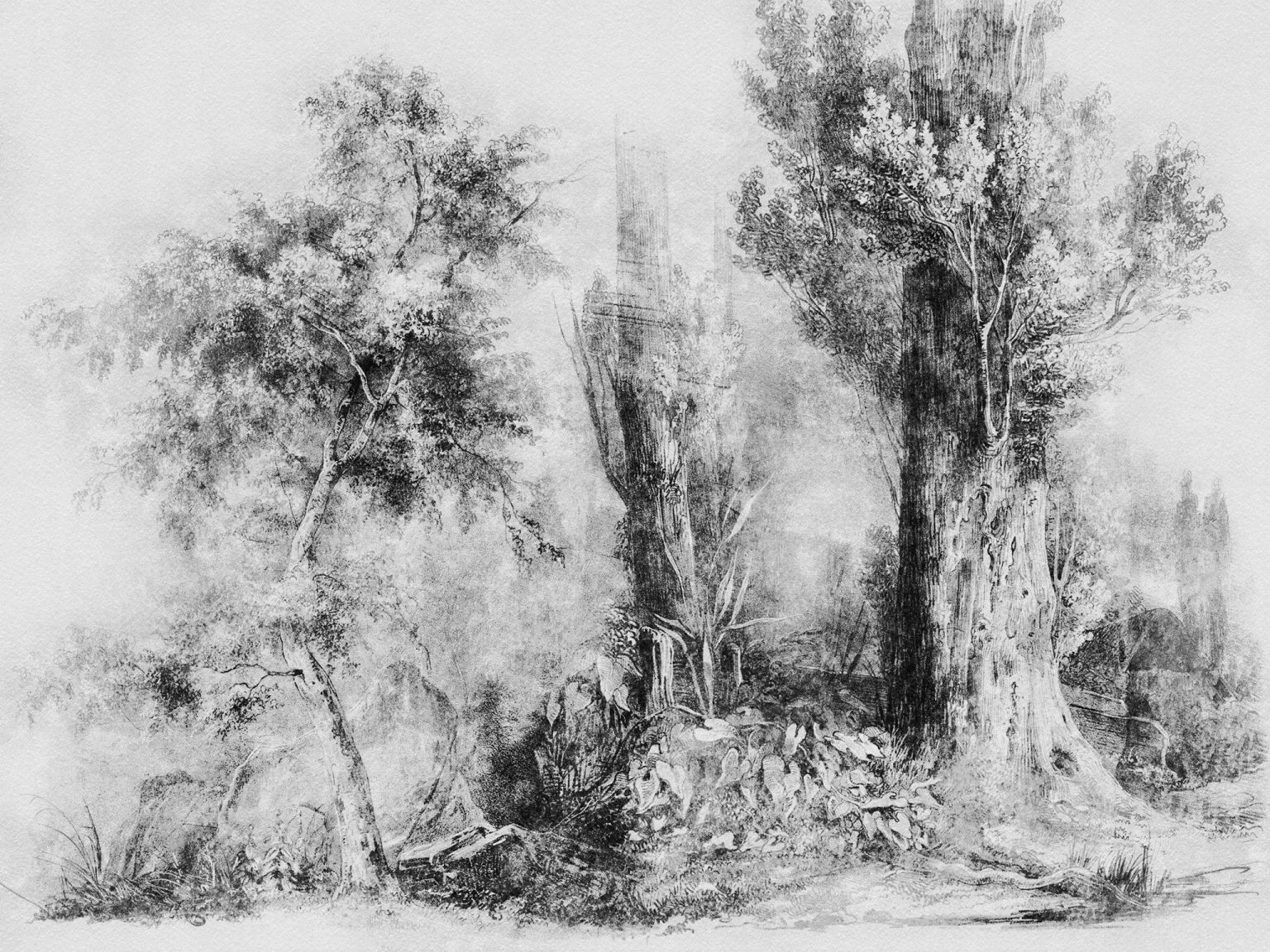 Tapeta Calm Black and White