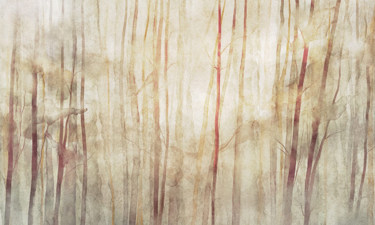 Mori - Tapeta w standaryzowanych rolkach