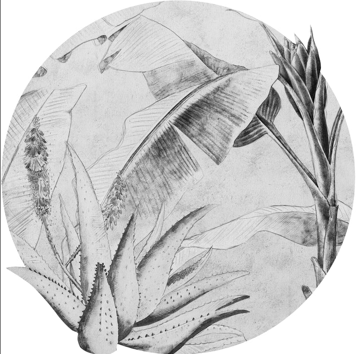 Tapeta Koło Rainforest Sketch
