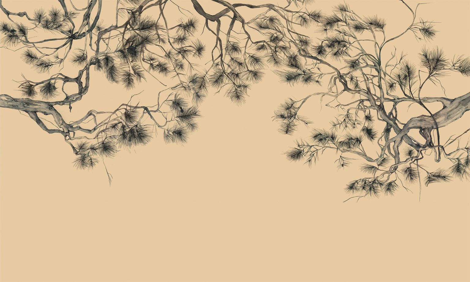 Tapeta ARBOR - Wonderwall