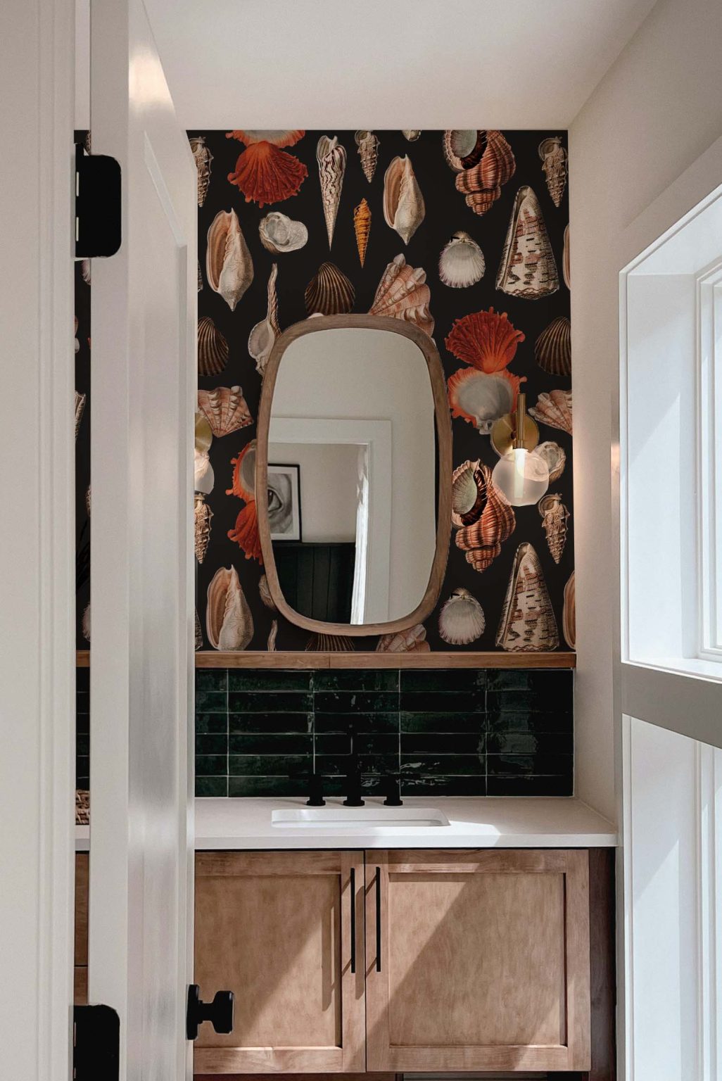 Tapeta Morskie muszle