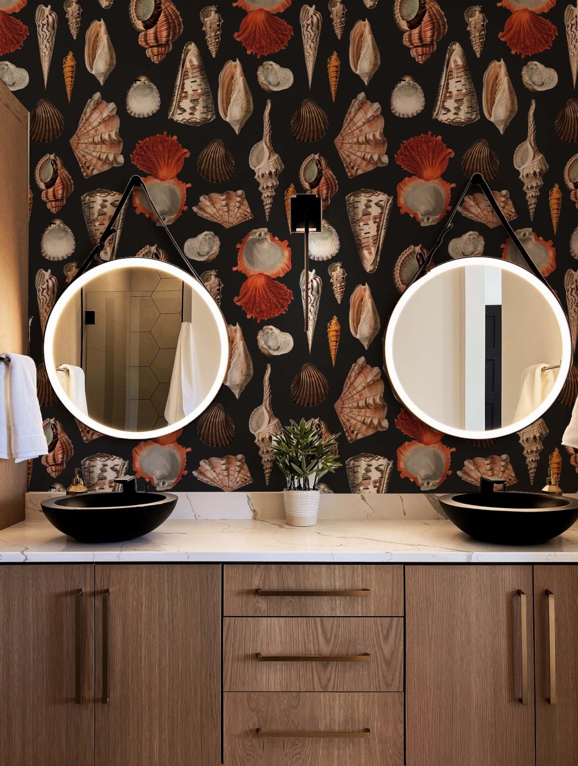 Tapeta Morskie muszle