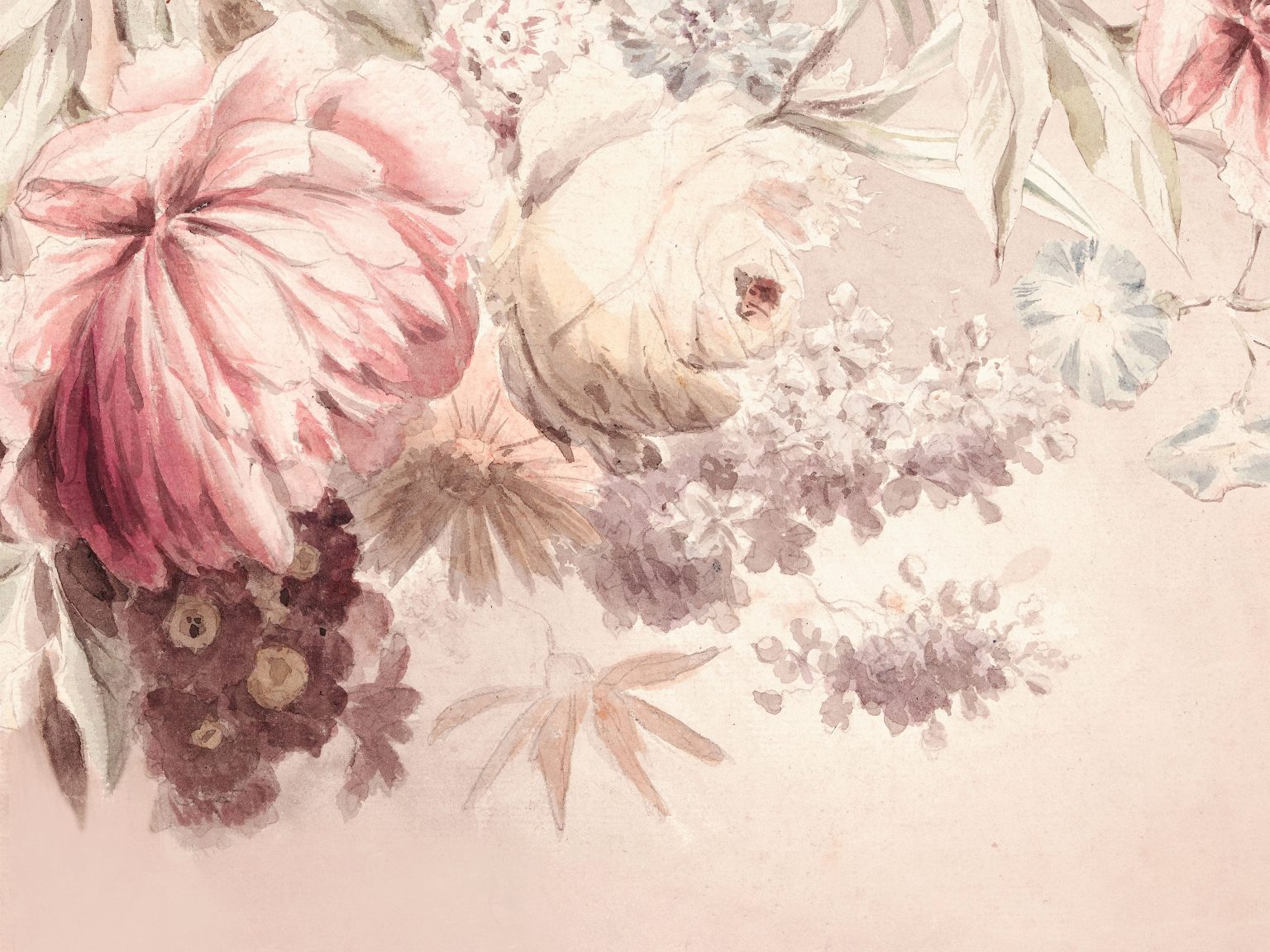 Tapeta Harmony Earth