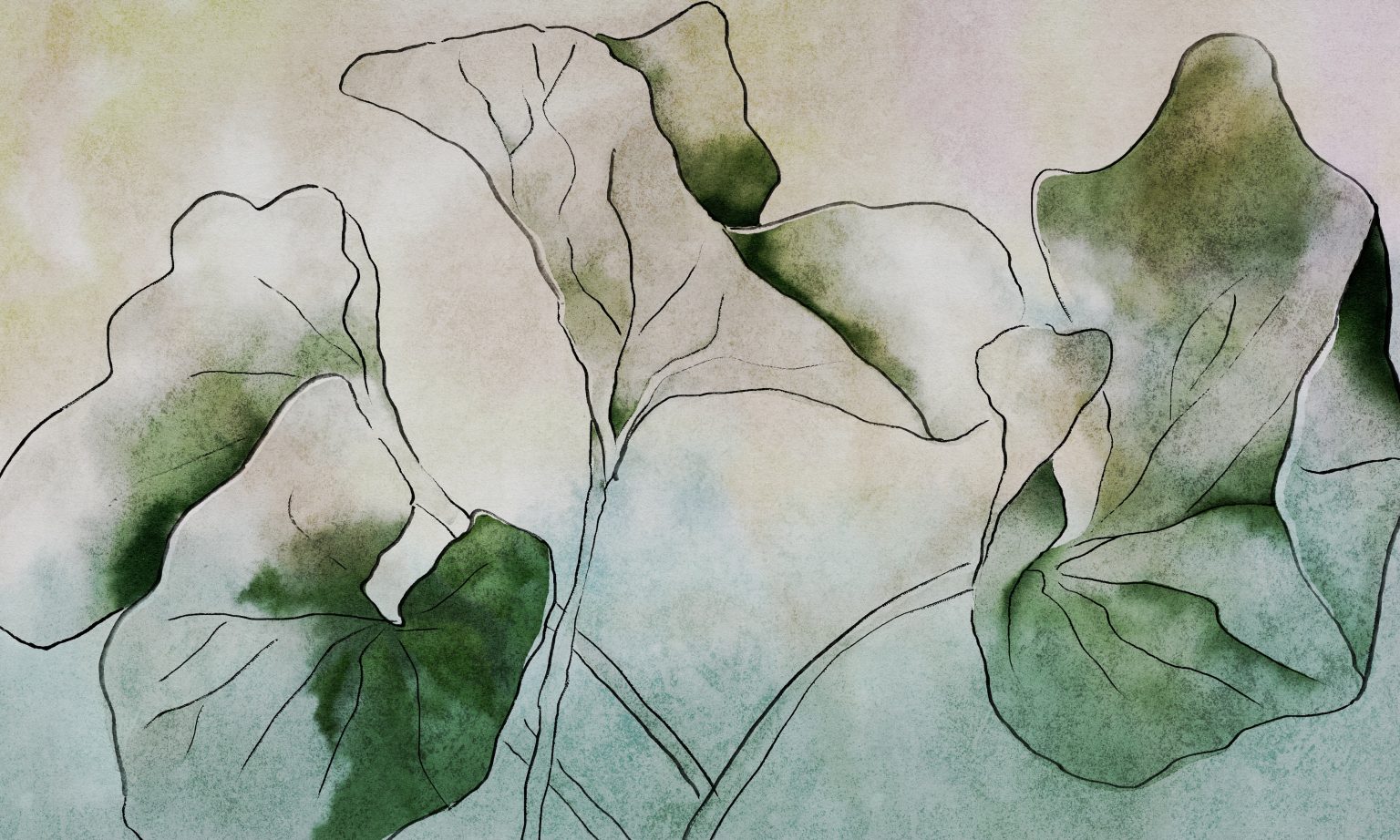 Hasu - Tapeta w standaryzowanych rolkach