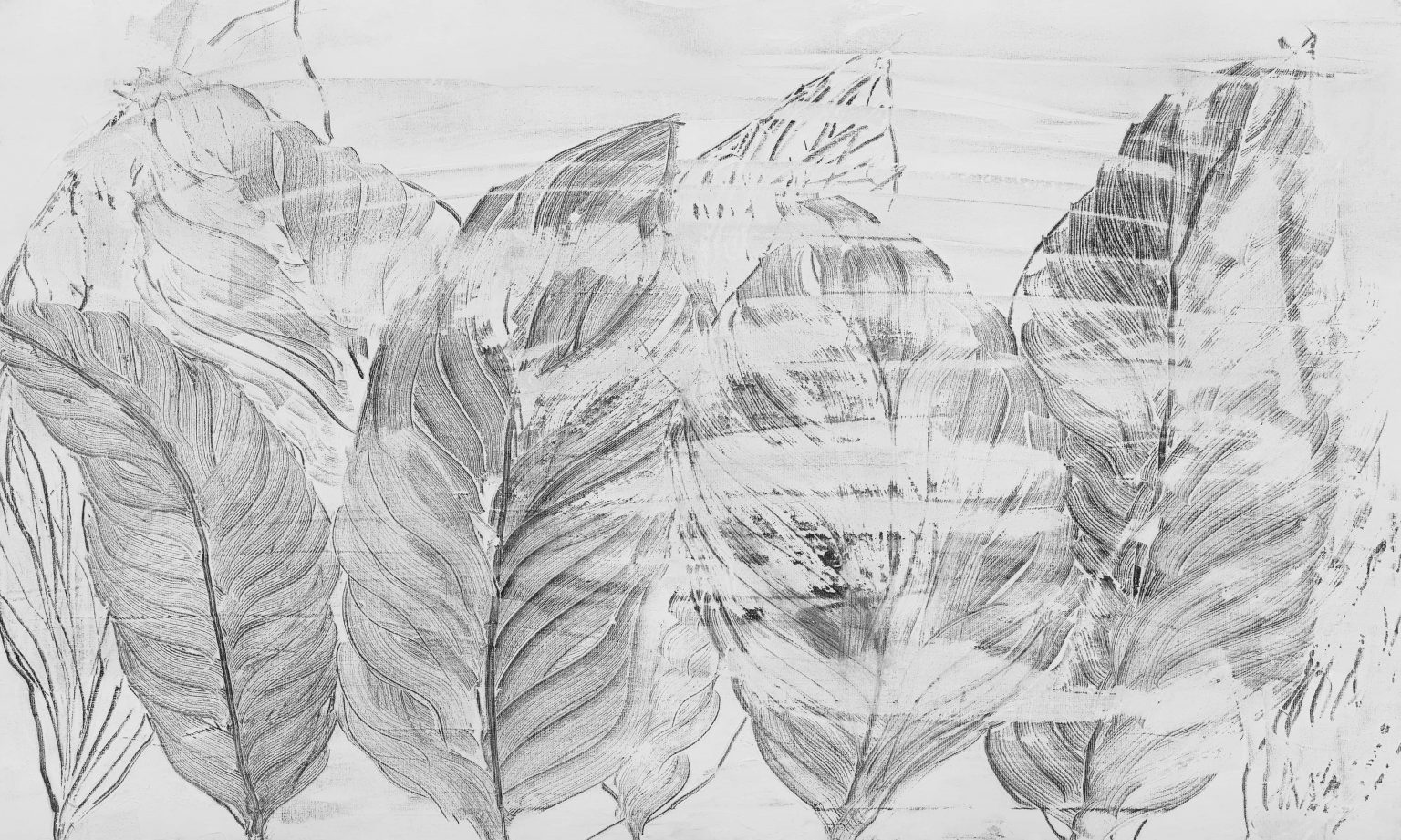 Demeter - Tapeta w standaryzowanych rolkach