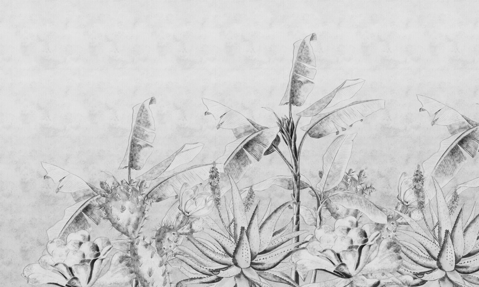 Tapeta Rainforest Sketch