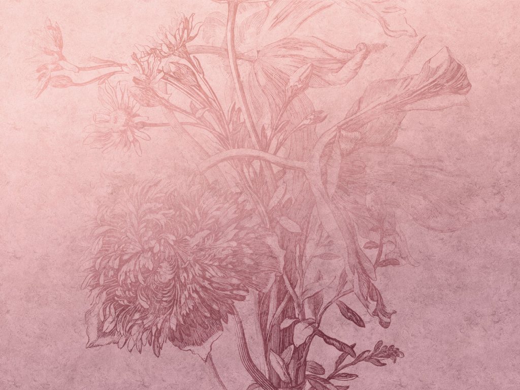 Tapeta Blossom ombre flower