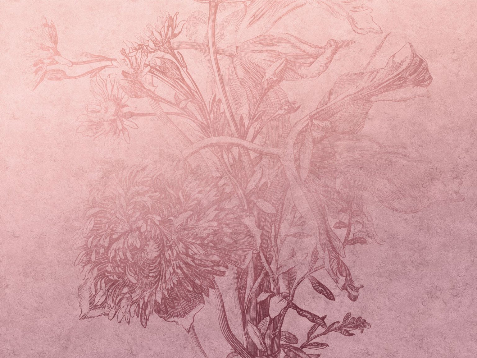 Tapeta Blossom ombre flower